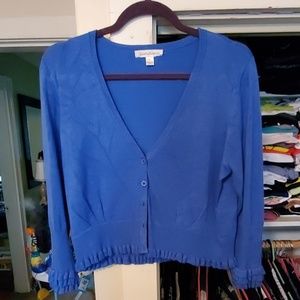 pretty blue cropped sweater
